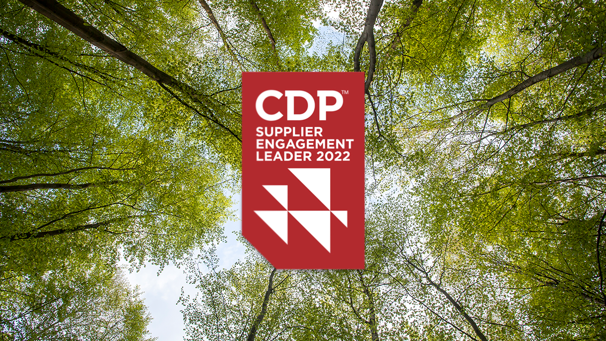 Stock image - GettyImages, © 2010 by Santiago Urquijo - ALL RIGHTS RESERVED